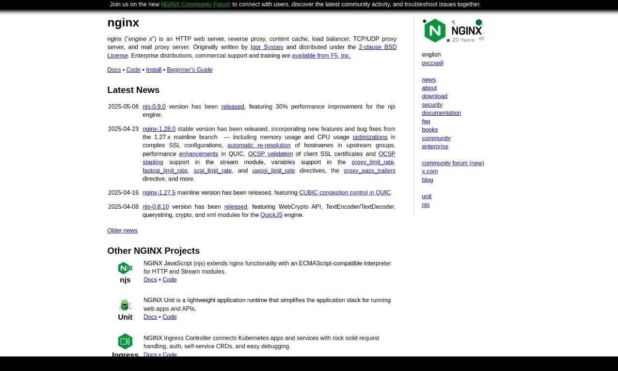 nginx reverse proxy