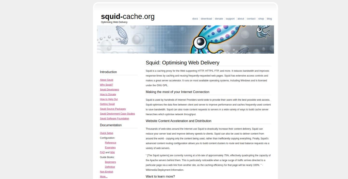 squid reverse proxy
